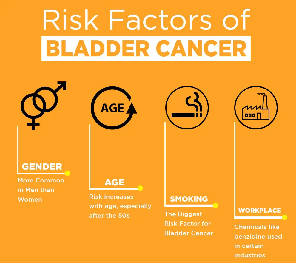 Bladder Cancer 2